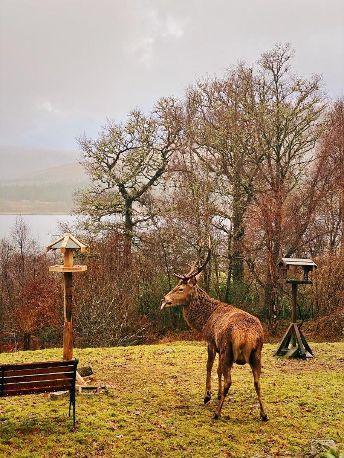 Tarmachan Cottage - West Highland Getaway Форт-Уильям Экстерьер фото